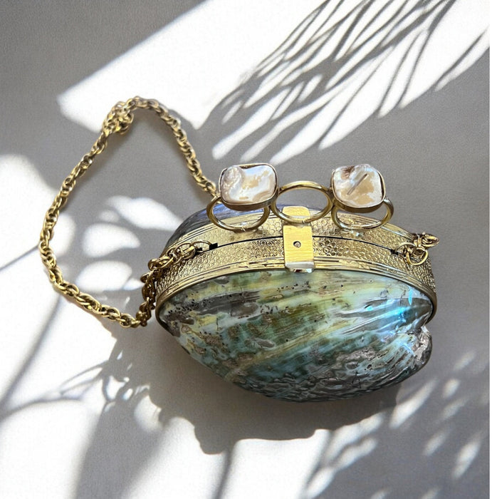 Abalone Shell Minaudiere Clutch: Gold-Plated Evening Bag