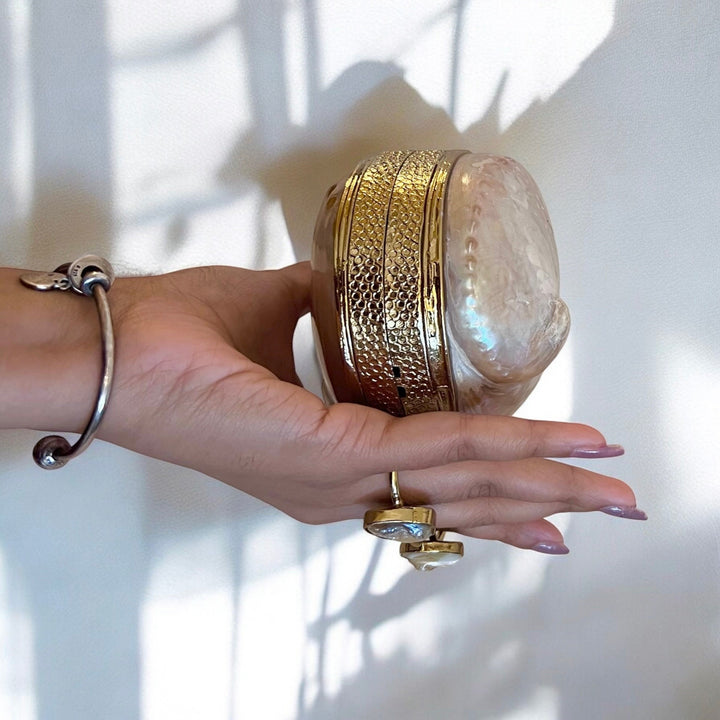 Pink Abalone Shell Minaudiere Clutch: Beach Wedding Wristlet