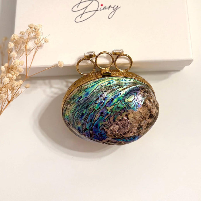 Abalone Shell Minaudiere Clutch: Gold-Plated Evening Bag
