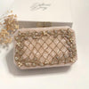 Ivory & Gold Wedding Evening Bag