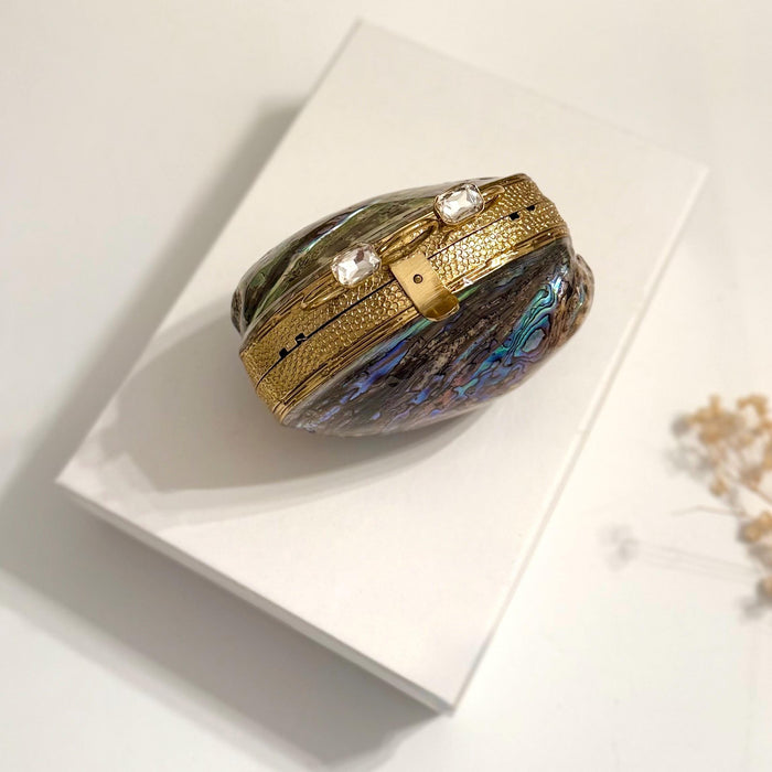Abalone Shell Minaudiere Clutch: Gold-Plated Evening Bag